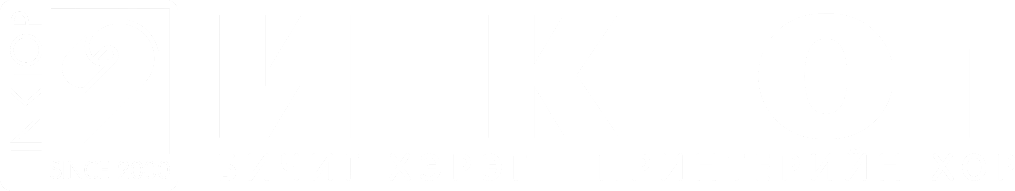 footer-logo